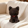 Piccolo gatto nero