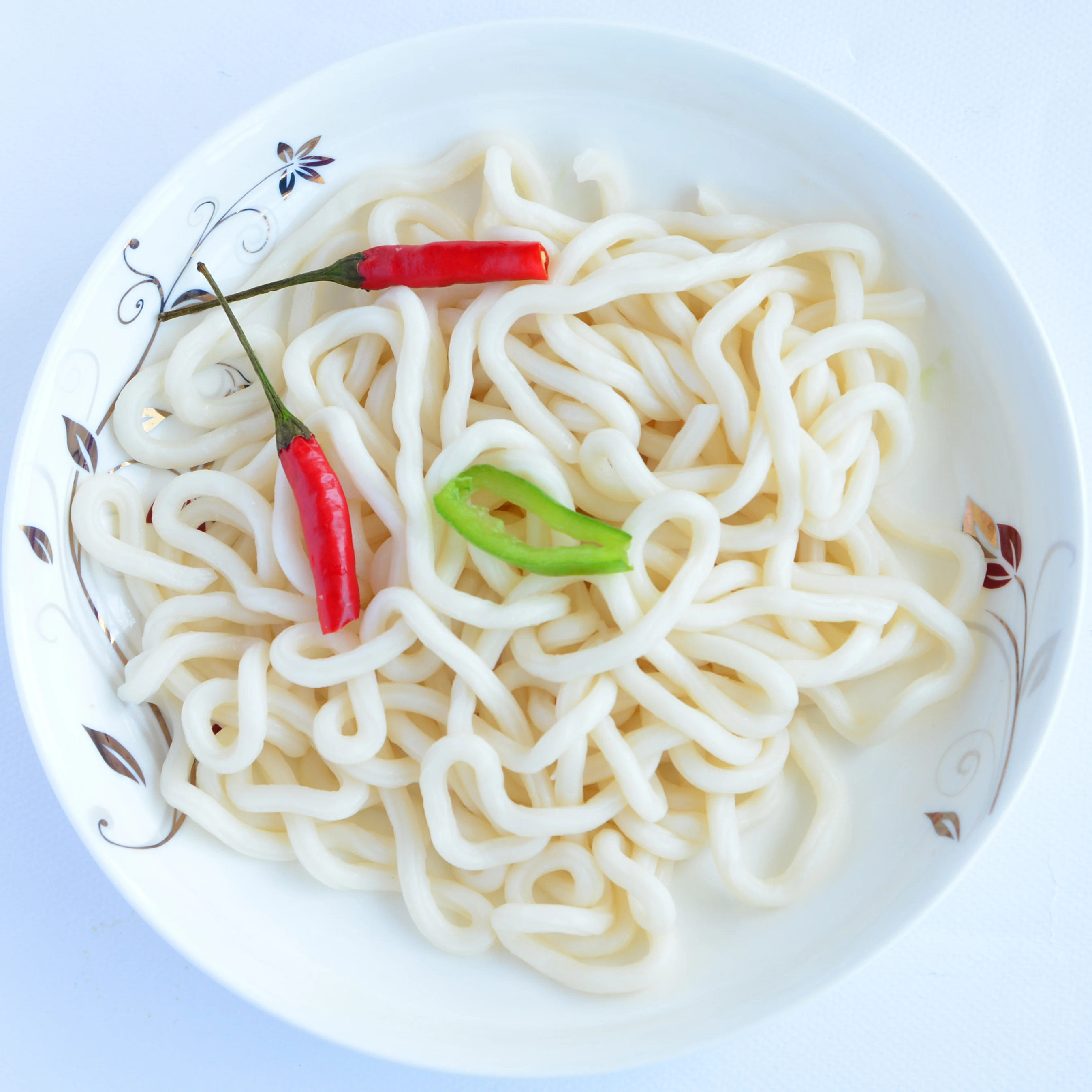 Japanese Style Fresh Udon Noodles