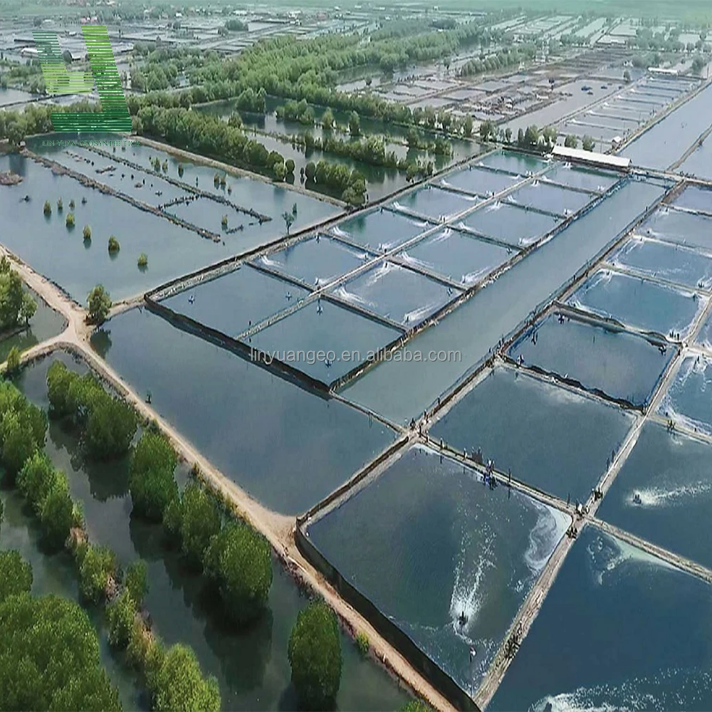 Geosynthetics HDPE Geomembrane Dam Liner