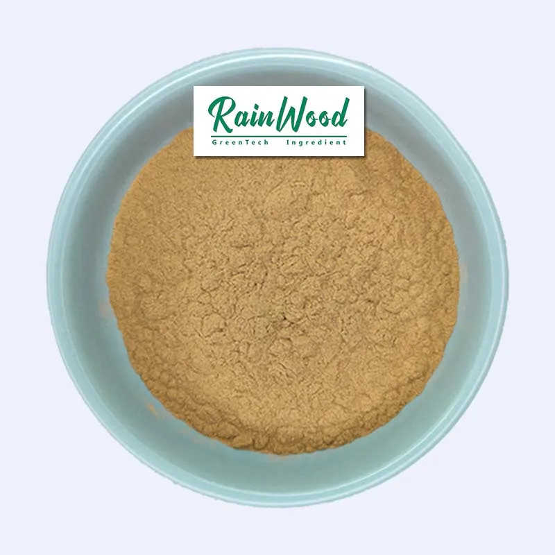 Chinese Goldthread Root Extract/coptis Chinensis Extract