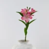 Rose foncé
