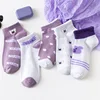 Purple bear