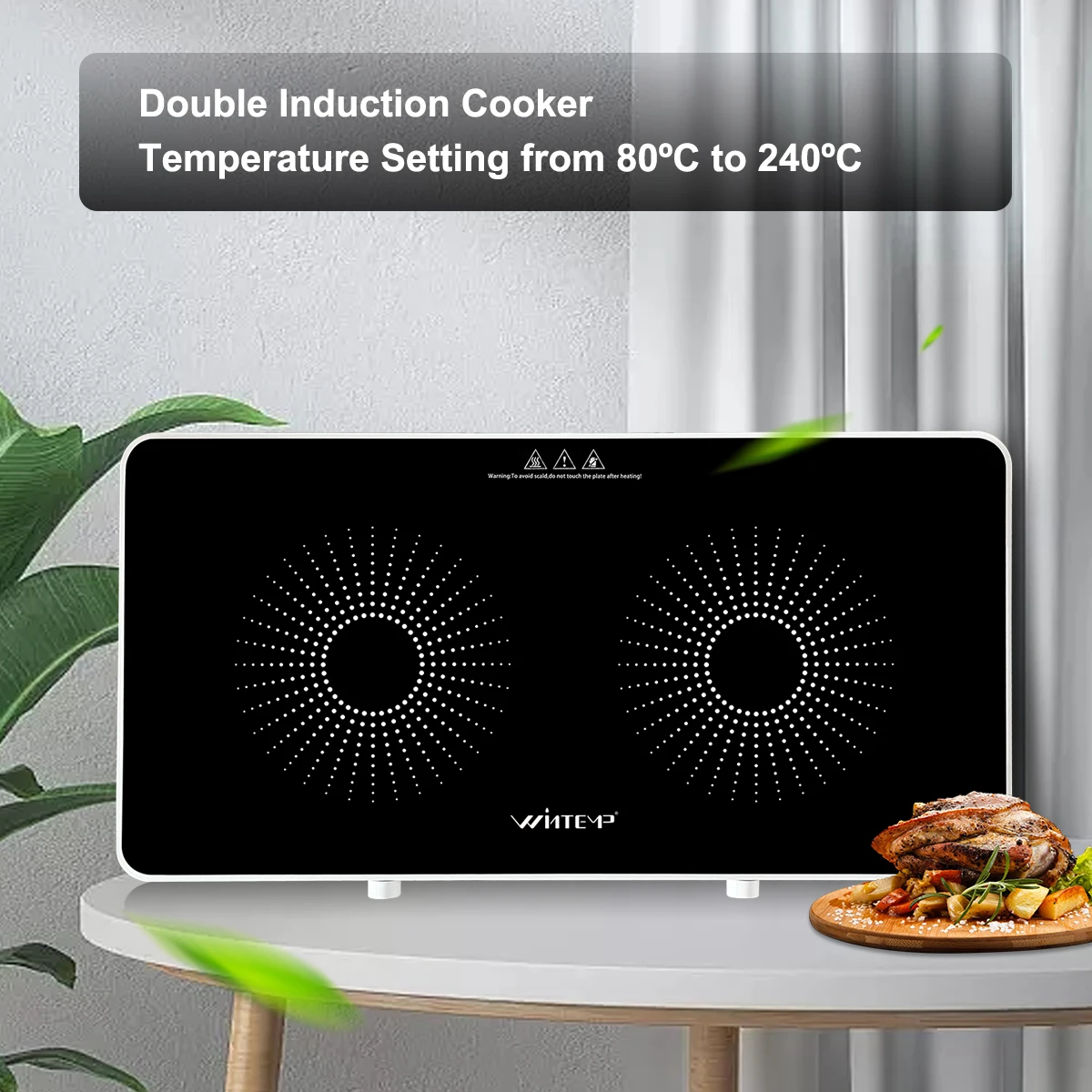 Electric Stoves Commercial Induction Cooktop Power Kitchen Double