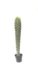 Colonna gigante gialla Thorn 3#86cm