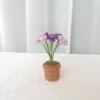 Una planta de nomeolvides morada en maceta