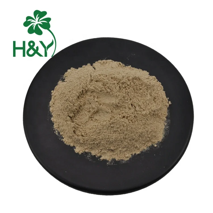 High Quality Nature Slippery Elm Bark Powder Capsules Elm Bark Extract