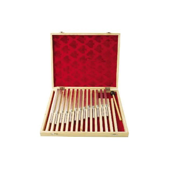 20200.03 Tuning Fork Set