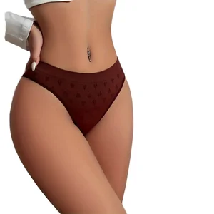 Women's Sexy Lace Hipster Panties Comfortable Breathable Low-Rise Mesh Invisible Nylon Knitted Print Underwear