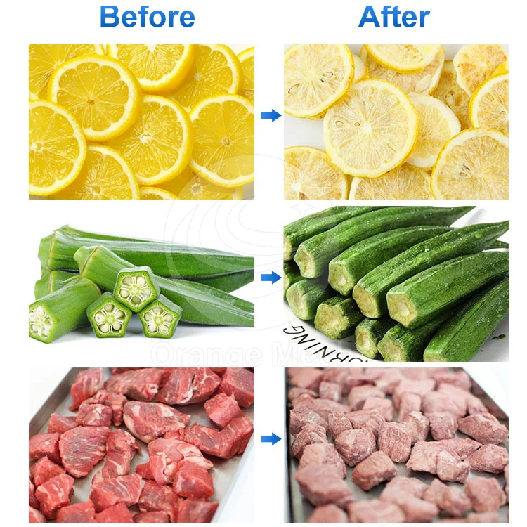 ORME Meat Freeze Drying Machine Laboratory Sublimation Vacuum Pump Dryer Small Food Freeze Dryer for Milk Powder