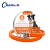 Orange Dog