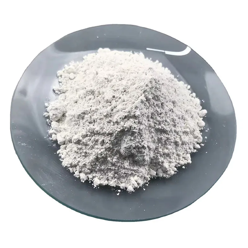 High purity Ca(OH)2 white powder Calcium dydroxide Slaked lime