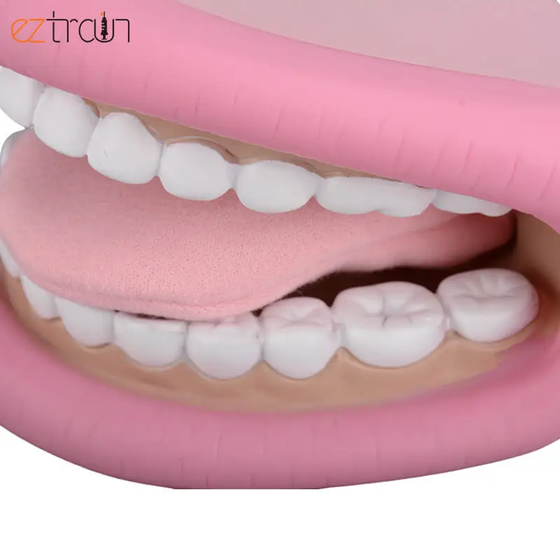 Louttary 1 Pièces Bouche Marionnette Avec Langue Dents Bouche Marionnette à Main Dentaire Bouche Modèle Avec Brosse à Dents Pour Garçon Fille Outil Éducatif