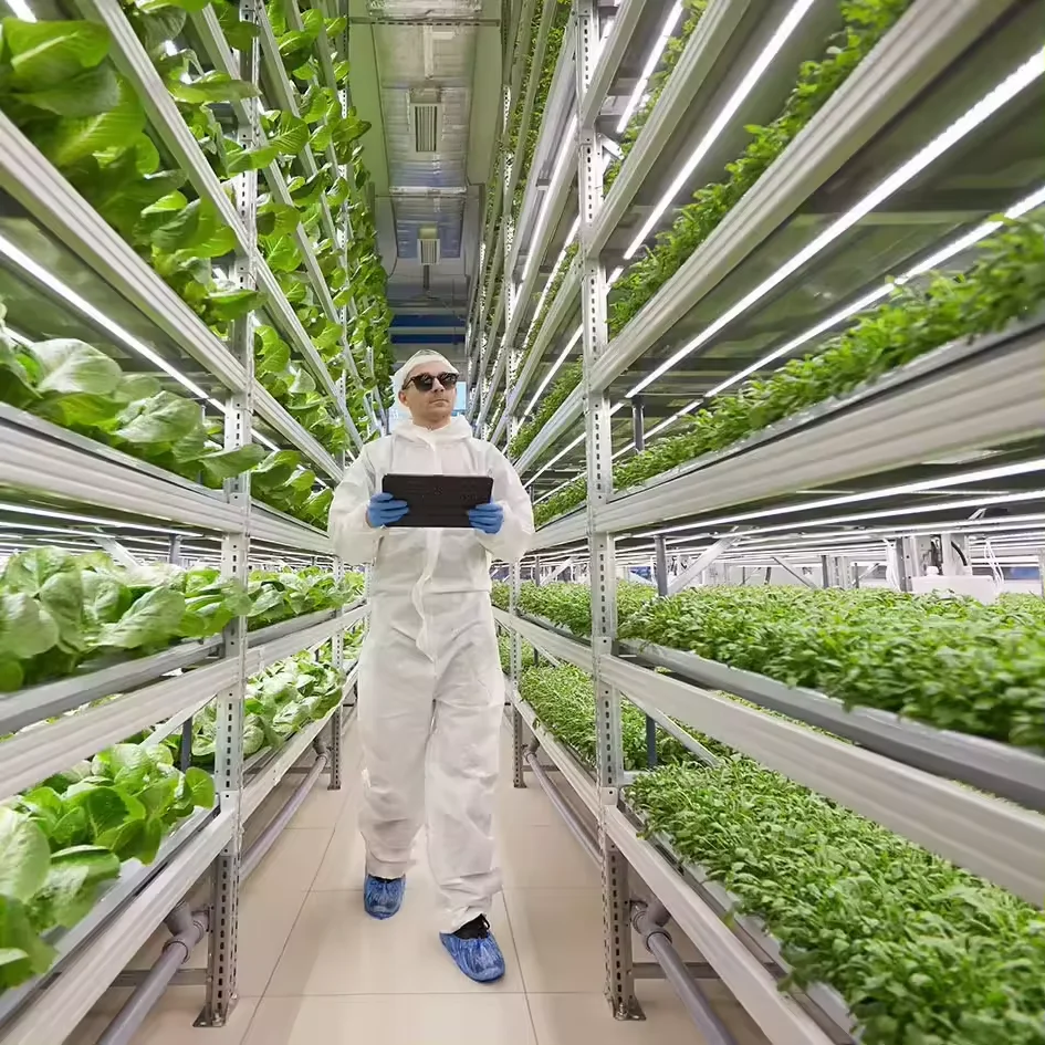 Hydroponic Growing Systems Container Vertical Farming Hydroponic Growing System