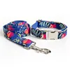 collar with leash 9