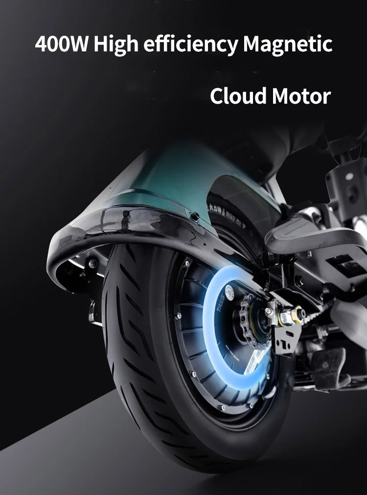 Tailg 100km Range Electric Bike Lithium Battery Bicycle Buy Electric