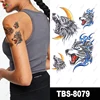 TBS-8079