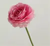 Rosa intenso