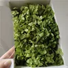 grass green