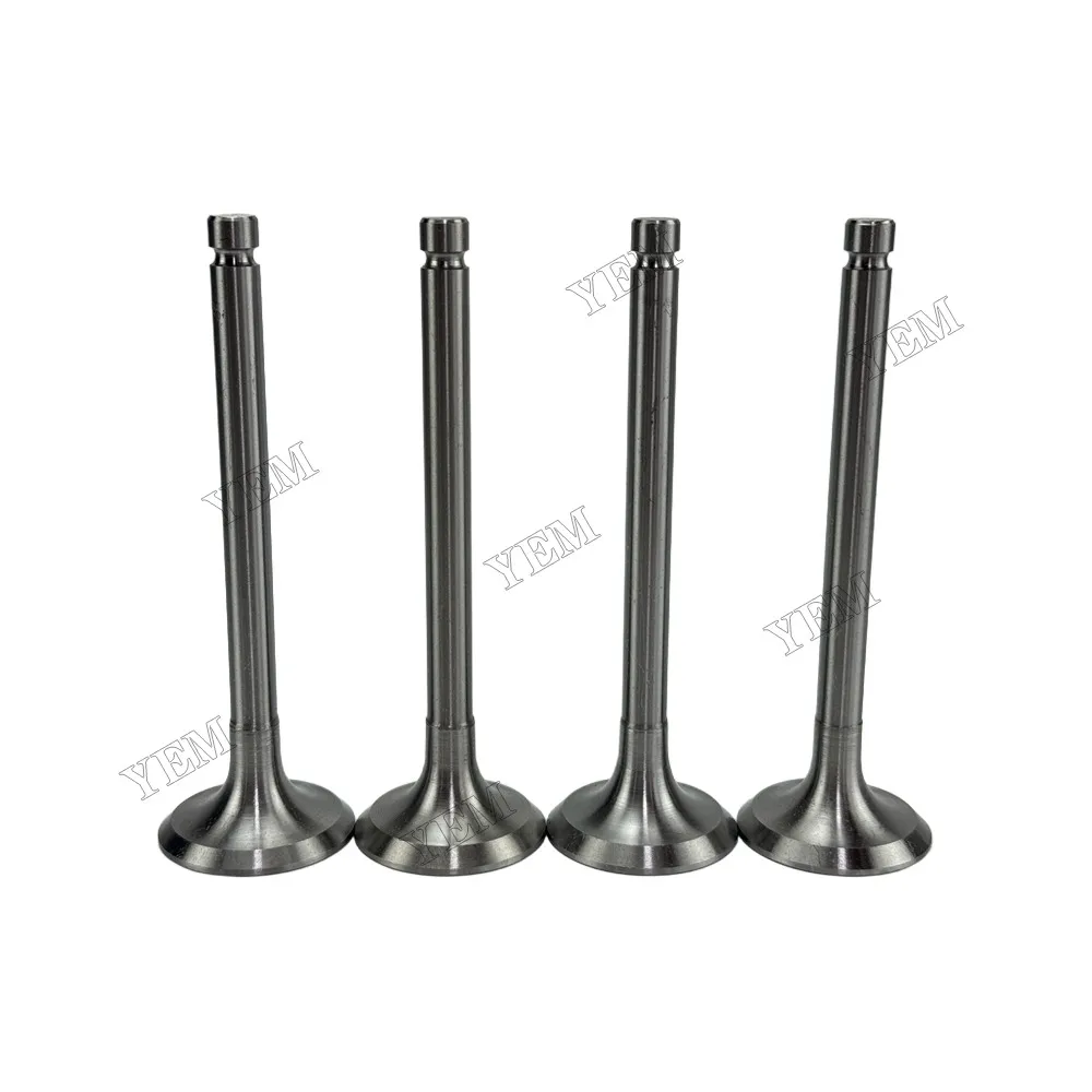 Exhaust Valve Fit for New Holland SNH4105 Engine 2