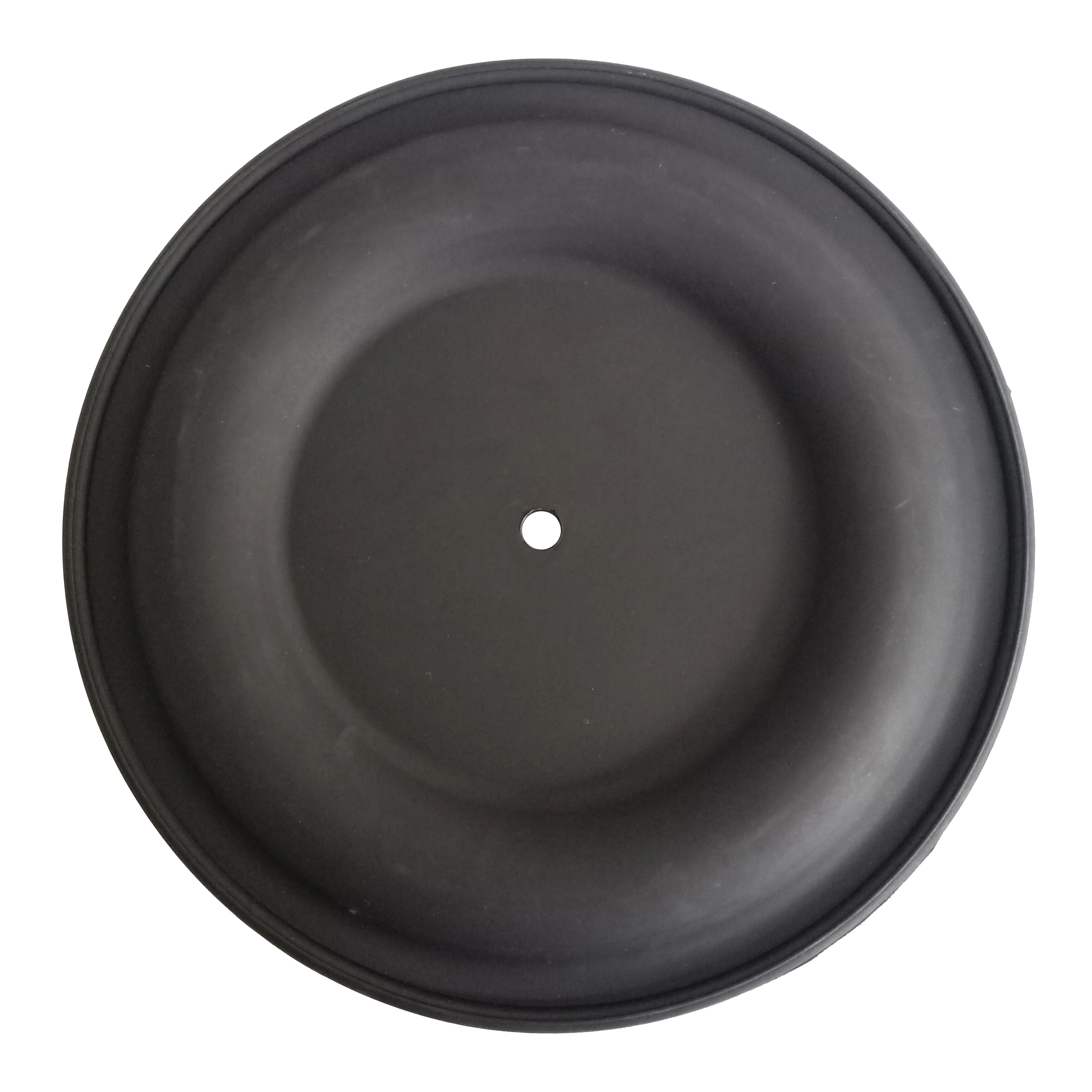 CF189295 Diaphragm 