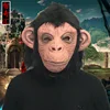 Maschera da orango