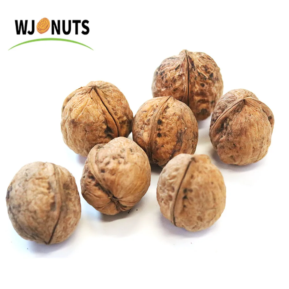 
Factory supply lowest price plant walnut inshell xinjiang unwashed paper 185 walnut 
