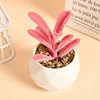 Pink L-04