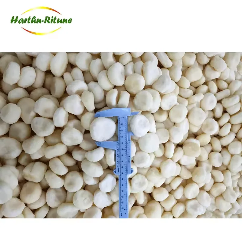 Wholesale IQF Frozen Water Chestnut Whole Peeled Water Chestnuts for Supermarkets