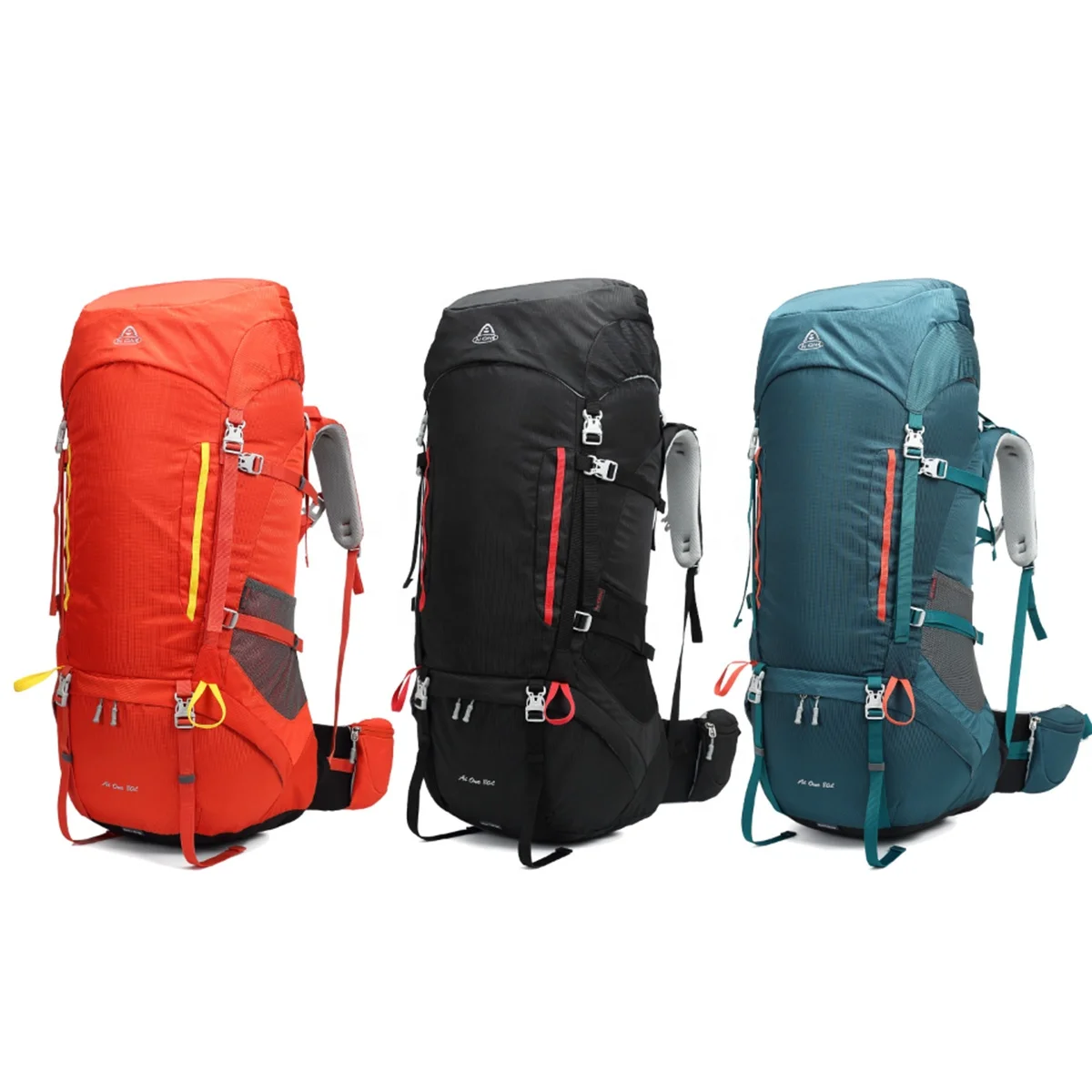 coleman zelt Darwin 4 Plus Blackout