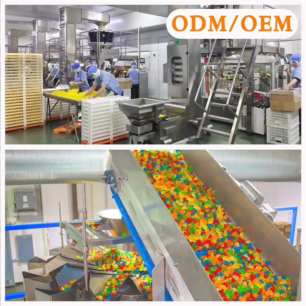 Factory Price Bulk Custom Packaging Fresh Breath Floral Flavor Compressed Hard Candy Cool Mints and Candies for Wholesale