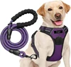 Purple Dog Harness Set