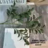 Foglia di rododendro Fk