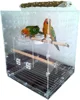 Transparent