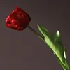rojo2