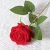 รุ่นกำมะหยี่สีแดงสด