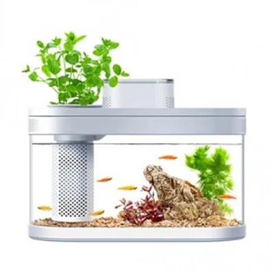 Eco fish outlet tank