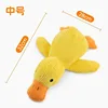 Canard compagnon [Taille moyenne] [Quack quack]