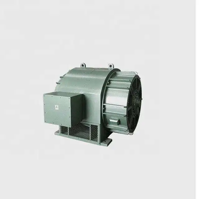 Micro Permanent Magnet Motor Hydro Generator 50kw Low Head