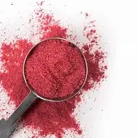 Lingonberry Juice Extract Powder Procyanidine 25% China Frozen Lingonberry Powder