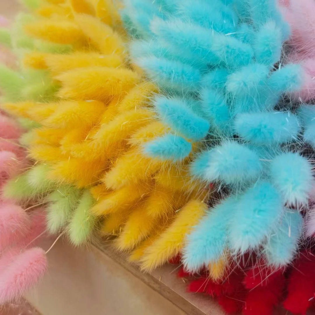 Ovatus Rabbit Tail Dried Flower Dried Flower Bouquet Cheap Dried