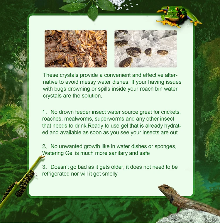 Insect Feeder Bee Insect Water Gel Crickets Toaches Mealworms