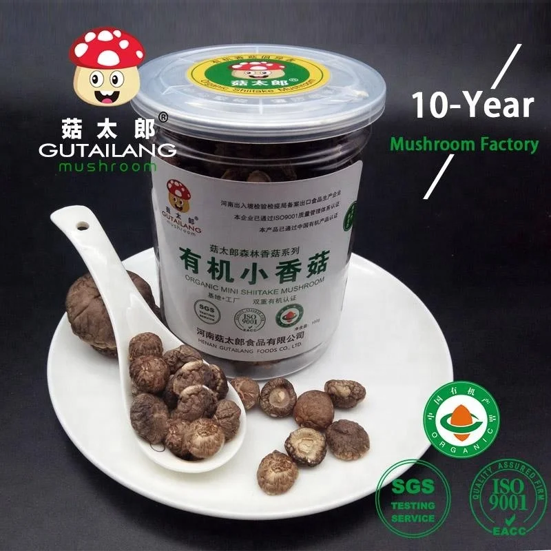 Canned Dried Shiitake Mushroom 1kg Small Shiitake Mushroom Mushroom