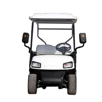 Ce Approved 2 Seats Electric Golf Cart Electric Golf Buggy - Buy