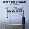 Grand portique avec 4 lumières blanches de 80W
