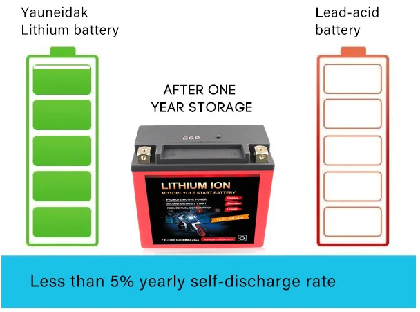 Internal Comparison and Safety Mechanism