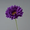 Autunno viola scuro