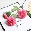 Hidden Fragrance Hydrangea Rose Red