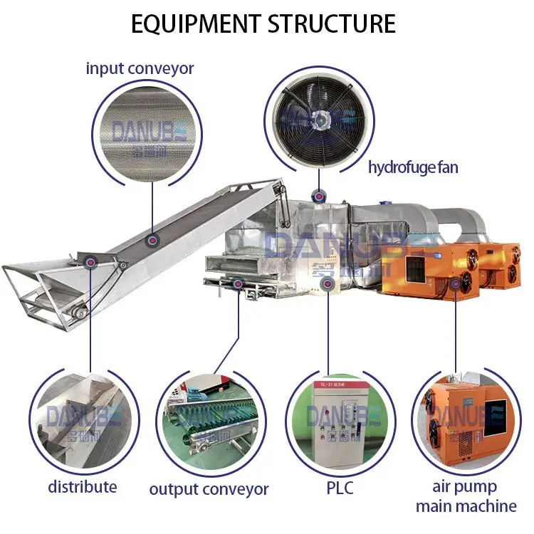 Chili Processing Line Red Pepper Mesh Belt Dryer Machine Chili Drying Machine