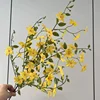 Amarillo