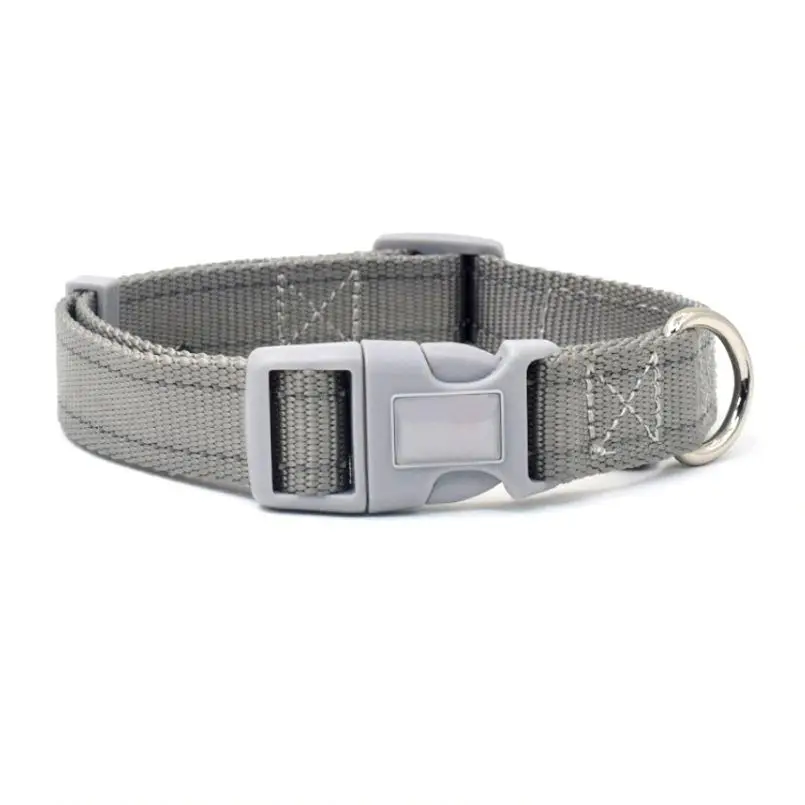 dog collar clasp